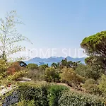 Votre Maison De Vacances Dans Un Ecrin De Verdure - Cannes